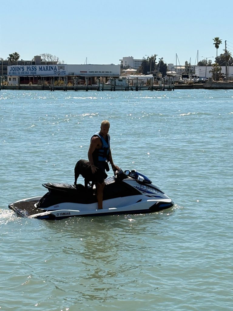 Person riding a jet ski on calm water near a marina.